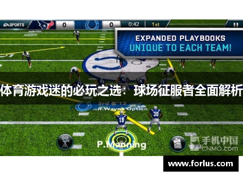 体育游戏迷的必玩之选：球场征服者全面解析